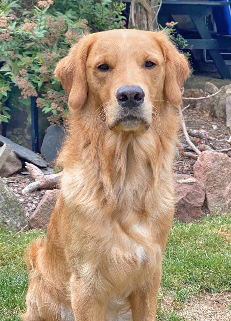 Coda